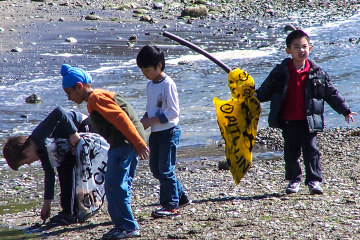 Shoreline Cleanup